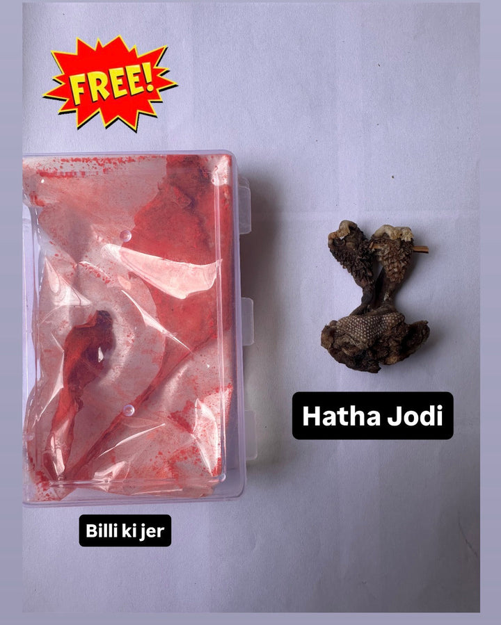 Hatha Jodi with complimentary Billi Ki Jer spiritual combo