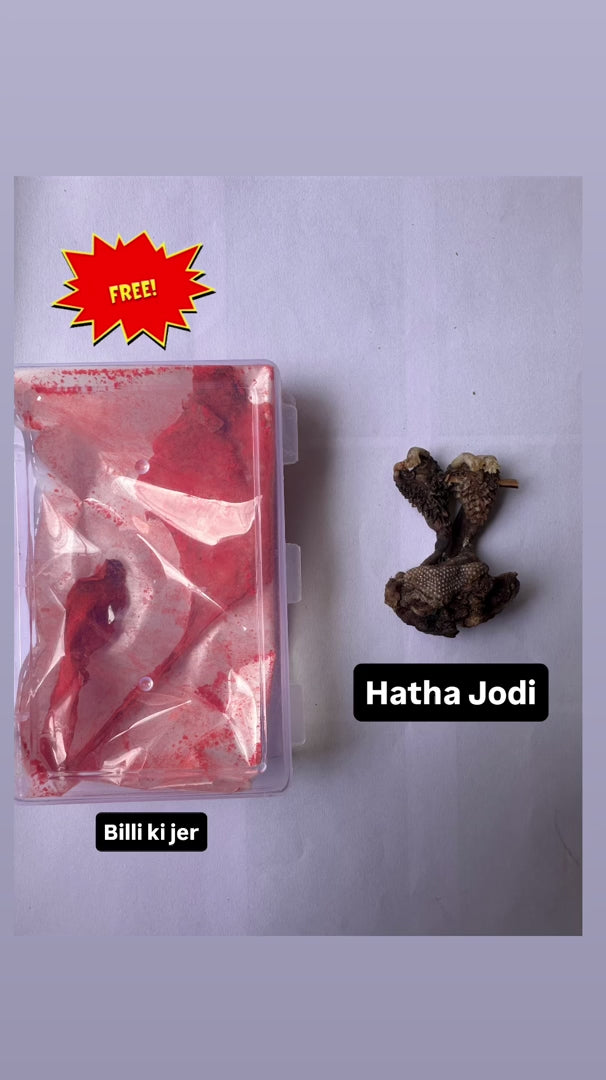 Hatha Jodi with complimentary Billi Ki Jer combo video