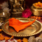 Billi Ki Jer — product gallery image 12