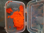 Billi Ki Jer in an open storage box — overhead view