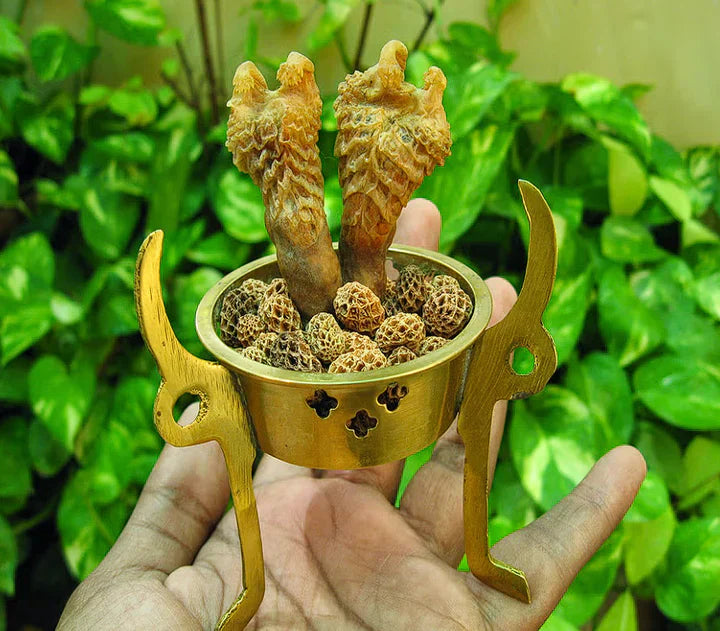 Hatha Jodi display; bowl and Rudraksha are props